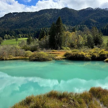 18Home Apartments, Mojstrana Kültér fotó